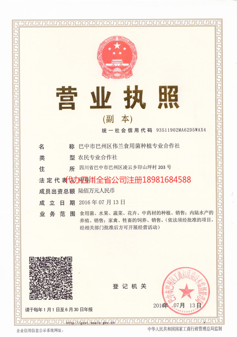 七台河七台河伟兰食用菌种植专业合作社